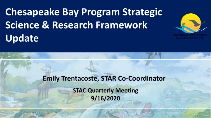 chesapeake bay program strategic science research