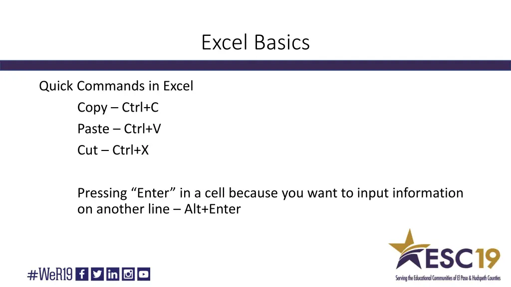 excel basics