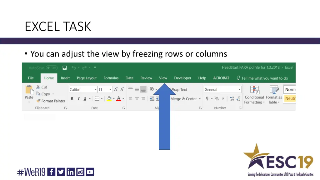 excel task