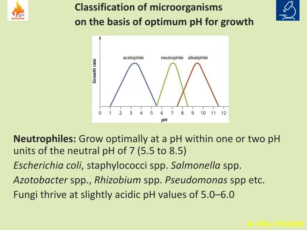 classification of microorganisms on the basis