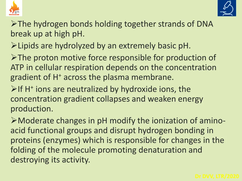 the hydrogen bonds holding together strands