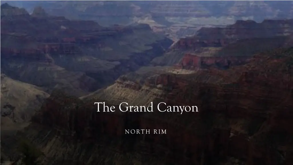 the grand canyon