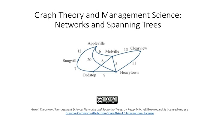 graph theory and management science networks