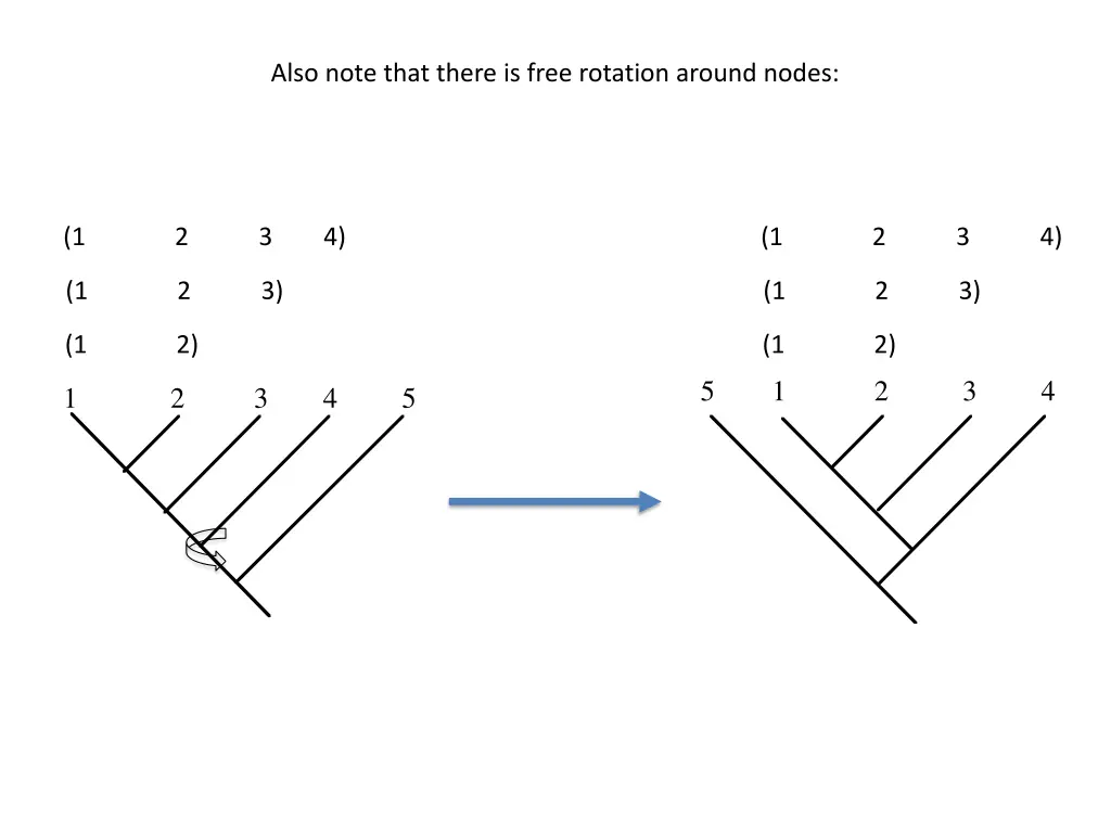 also note that there is free rotation around nodes