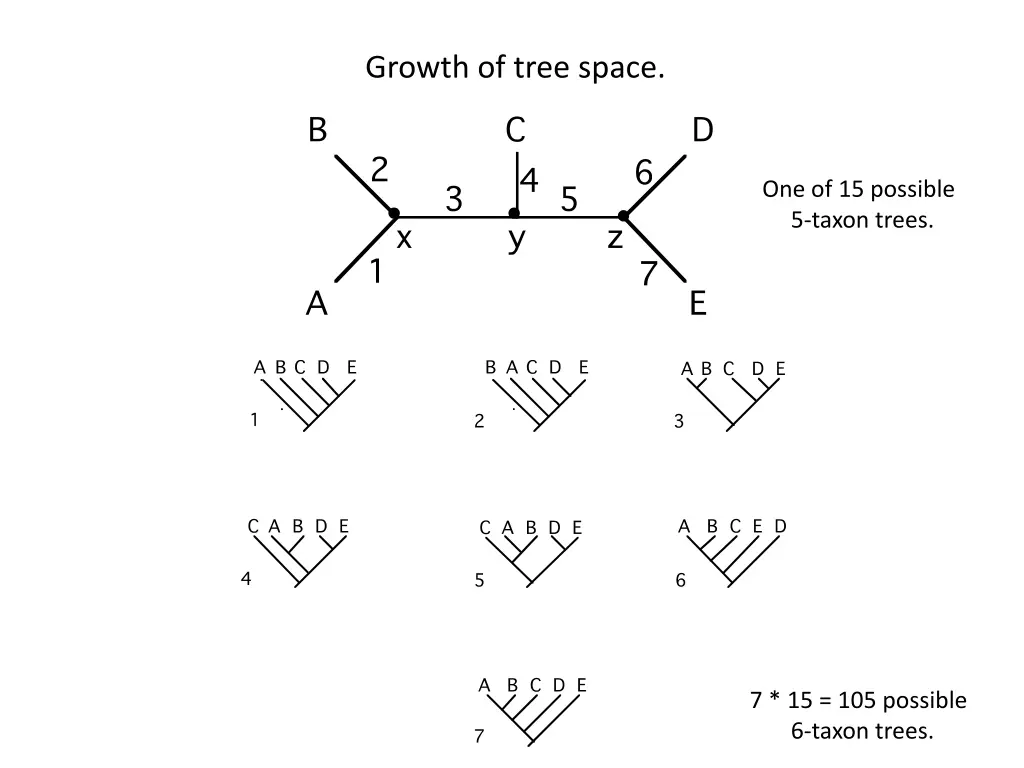 growth of tree space