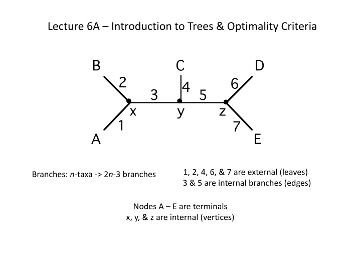 lecture 6a introduction to trees optimality