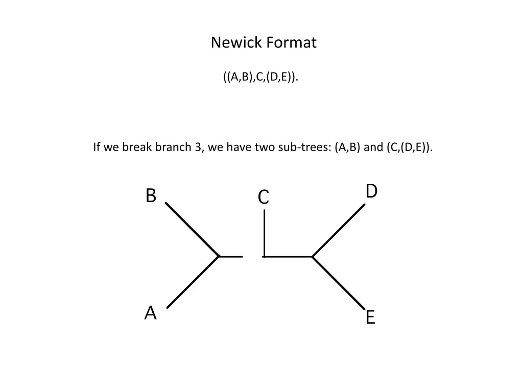 newick format