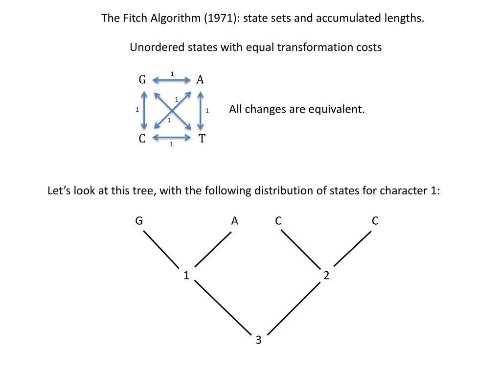 the fitch algorithm 1971 state sets