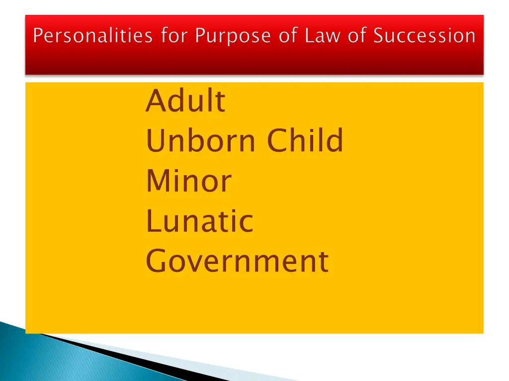 adult unborn child minor lunatic government