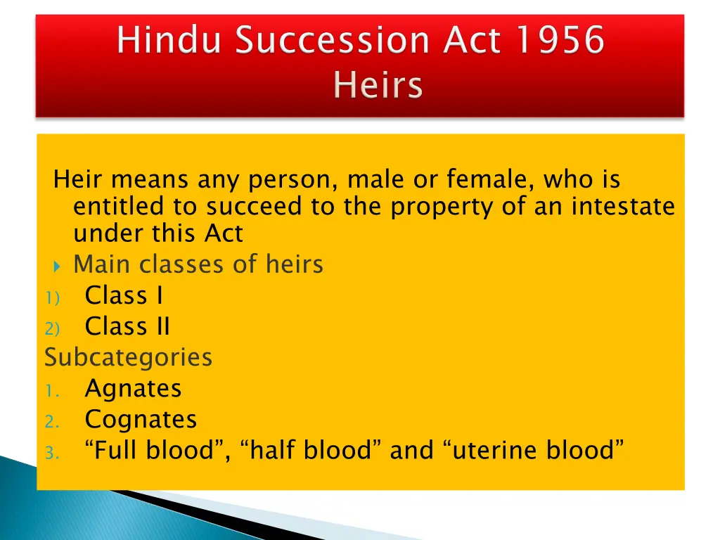 heir means any person male or female