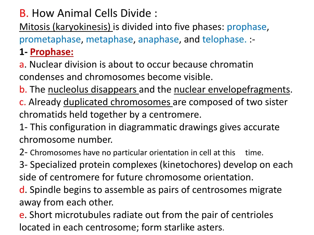 b how animal cells divide mitosis karyokinesis