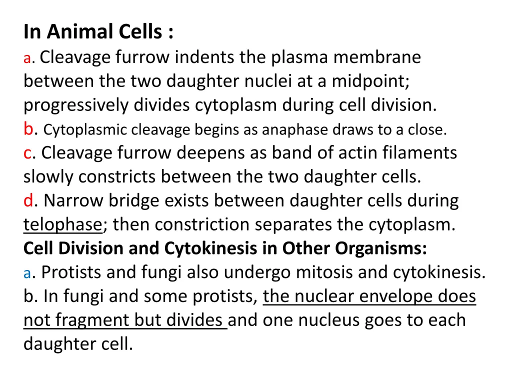 in animal cells a cleavage furrow indents