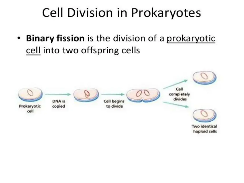 slide14