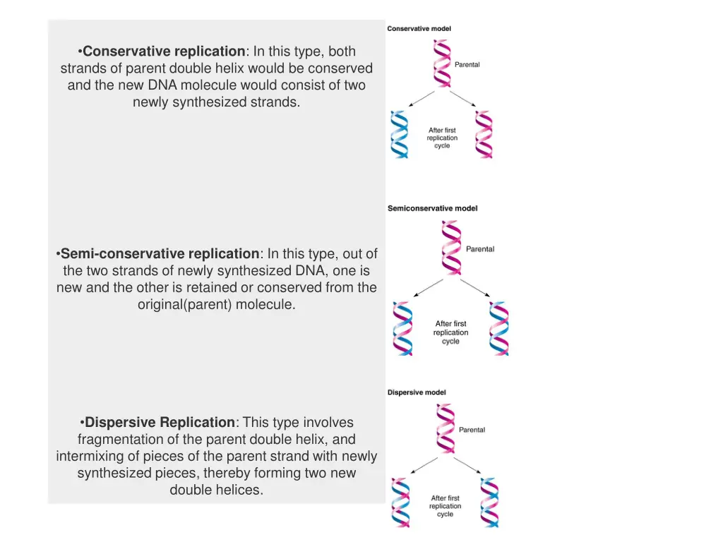 conservative replication in this type both