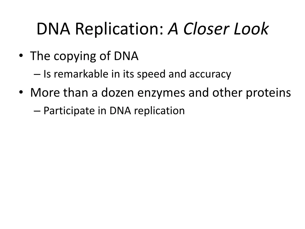 dna replication a closer look