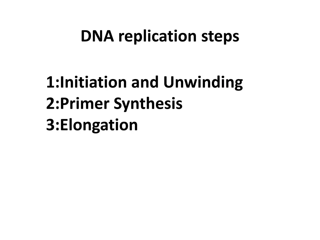 dna replication steps