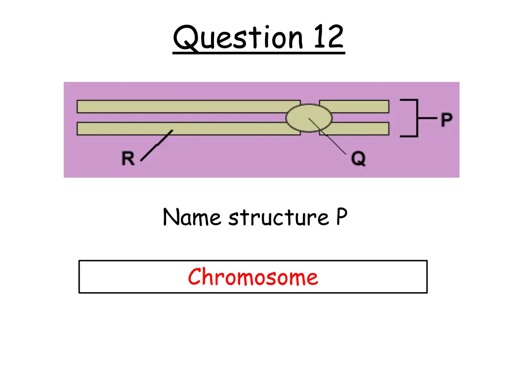 question 12 1