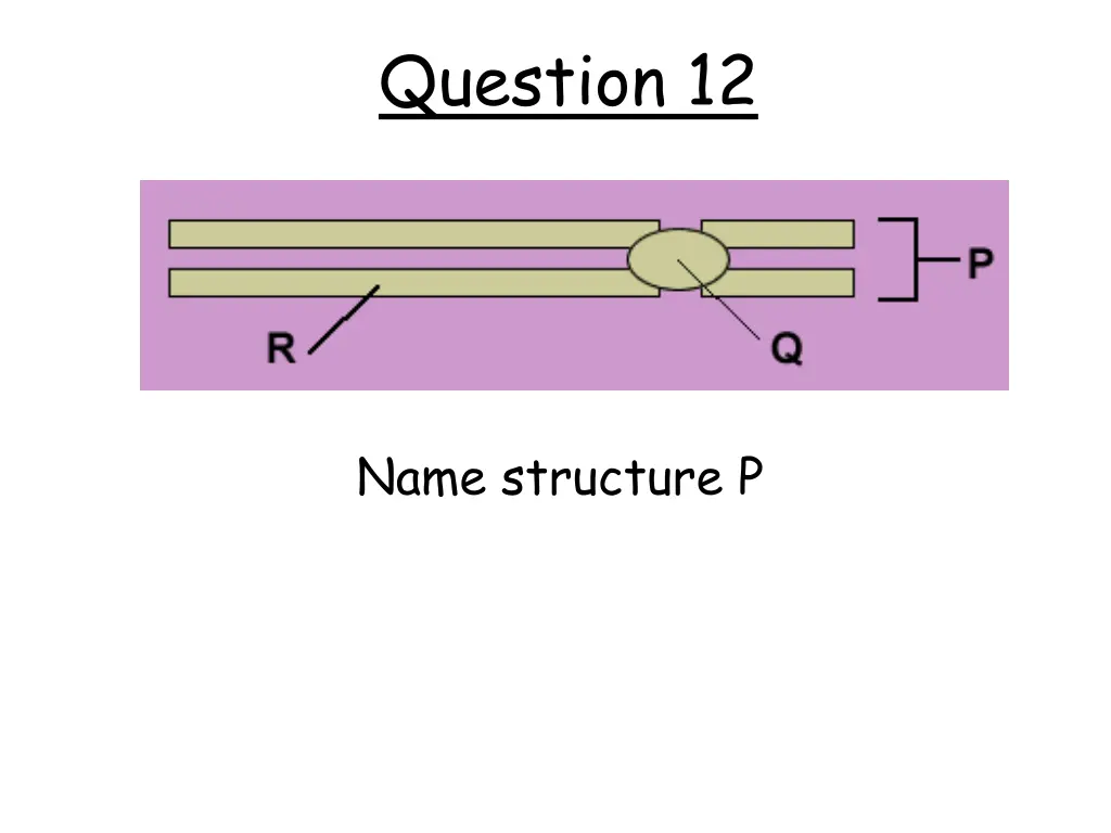 question 12