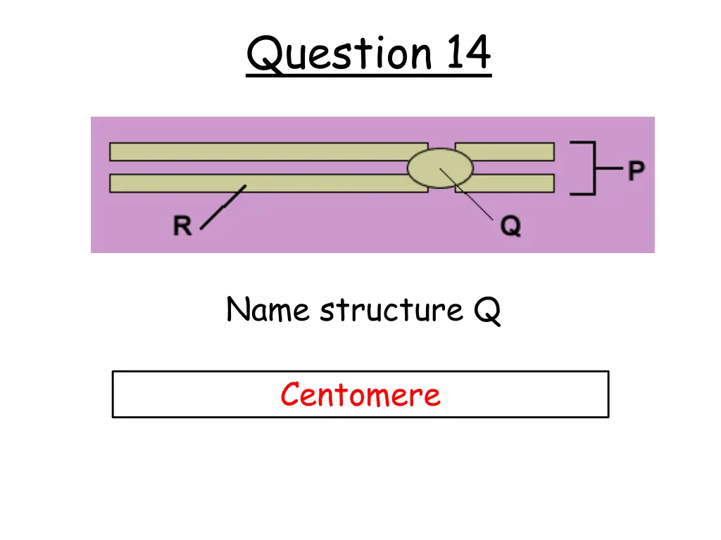 question 14 1