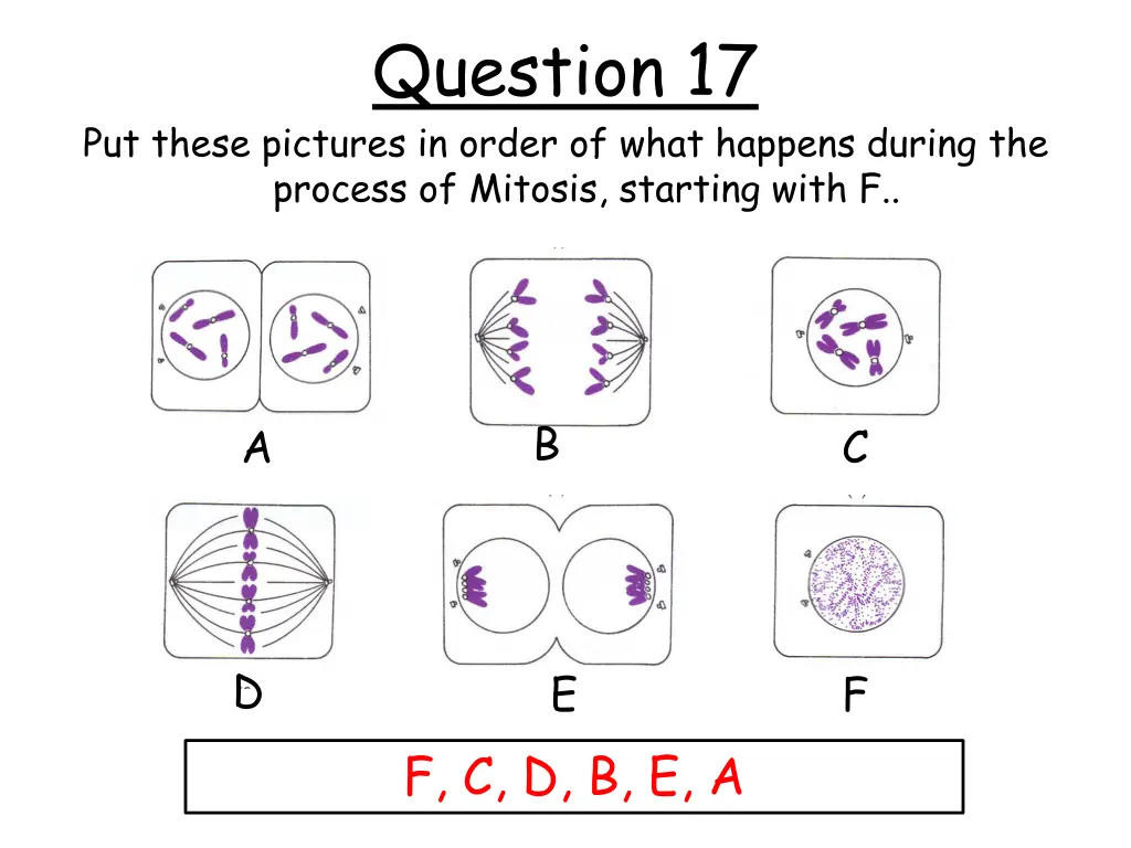 question 17 1