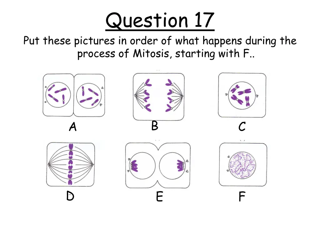 question 17