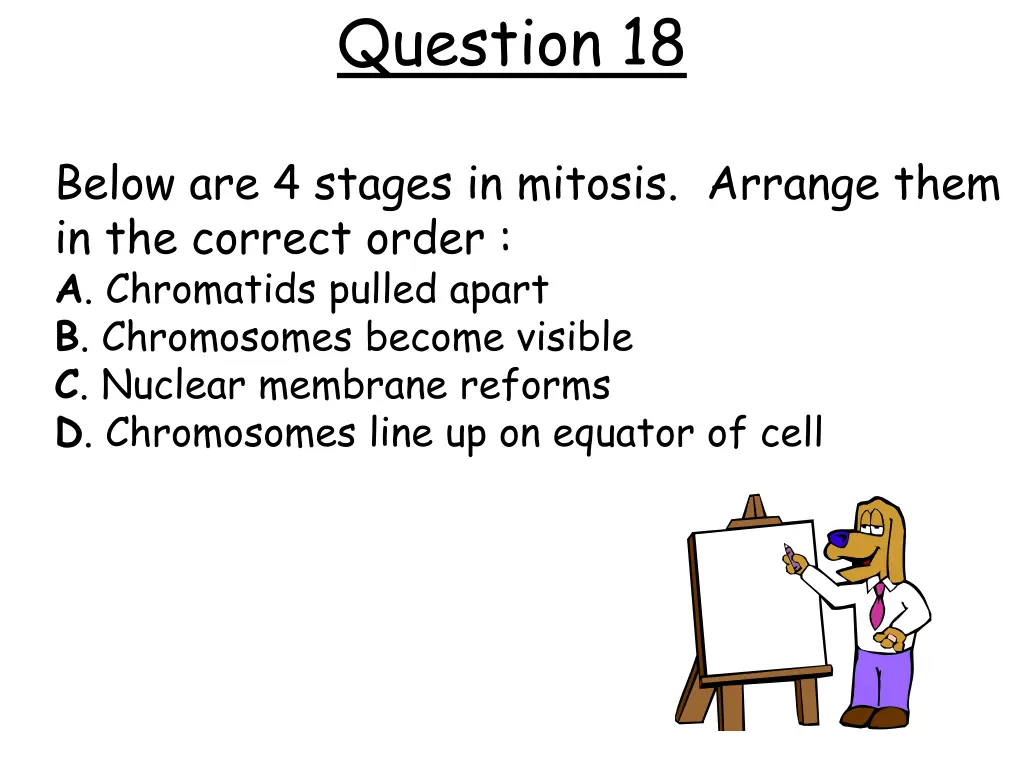 question 18