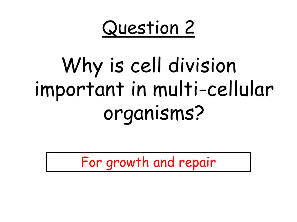 question 2 1