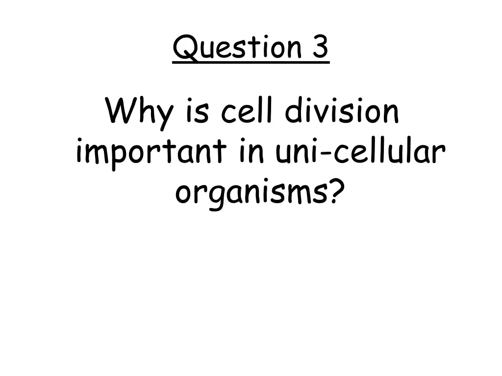 question 3