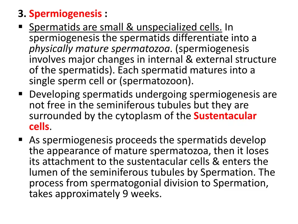 3 spermiogenesis spermatids are small