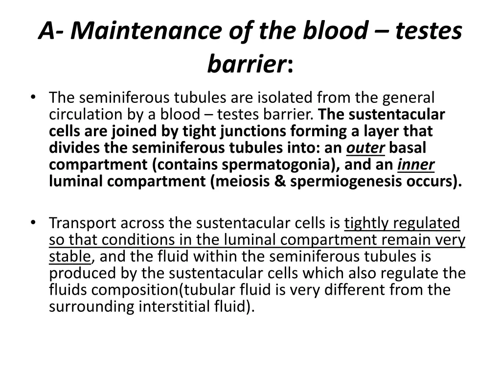 a maintenance of the blood testes barrier 1