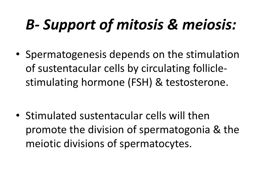 b support of mitosis meiosis