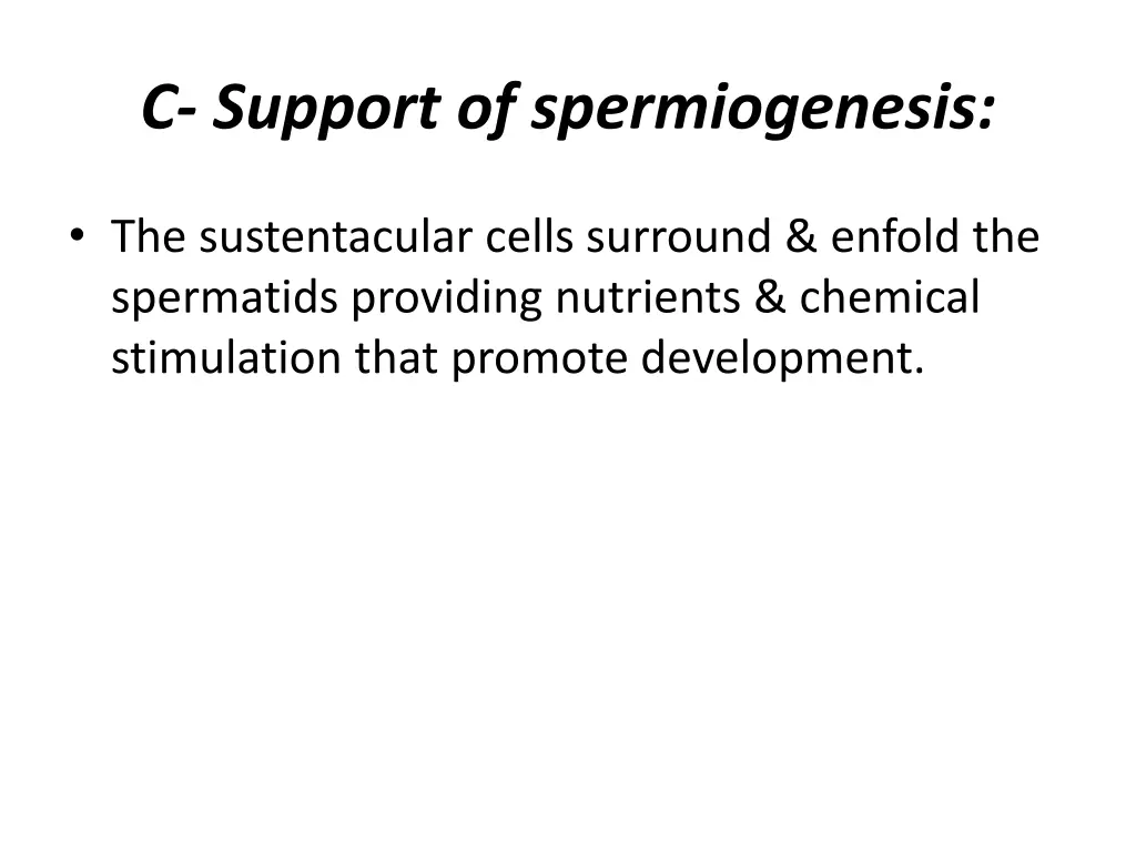 c support of spermiogenesis