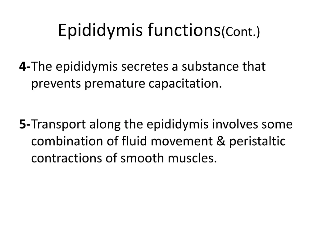 epididymis functions cont 1