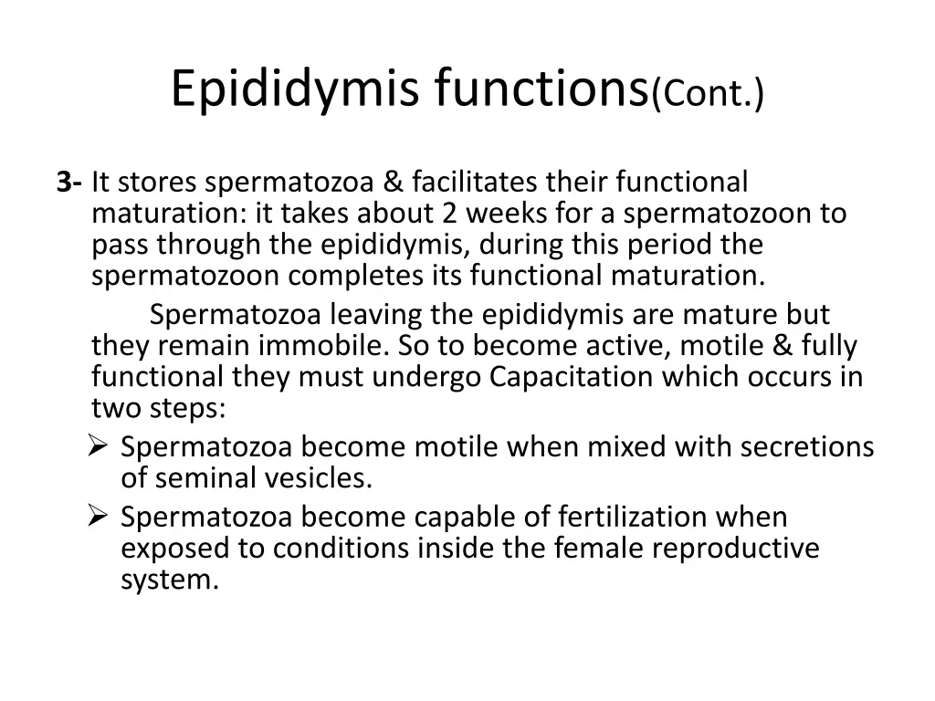 epididymis functions cont