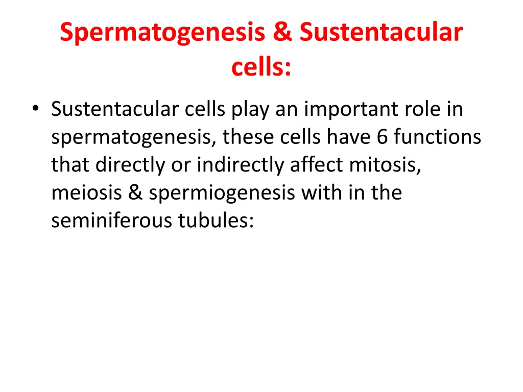 spermatogenesis sustentacular cells