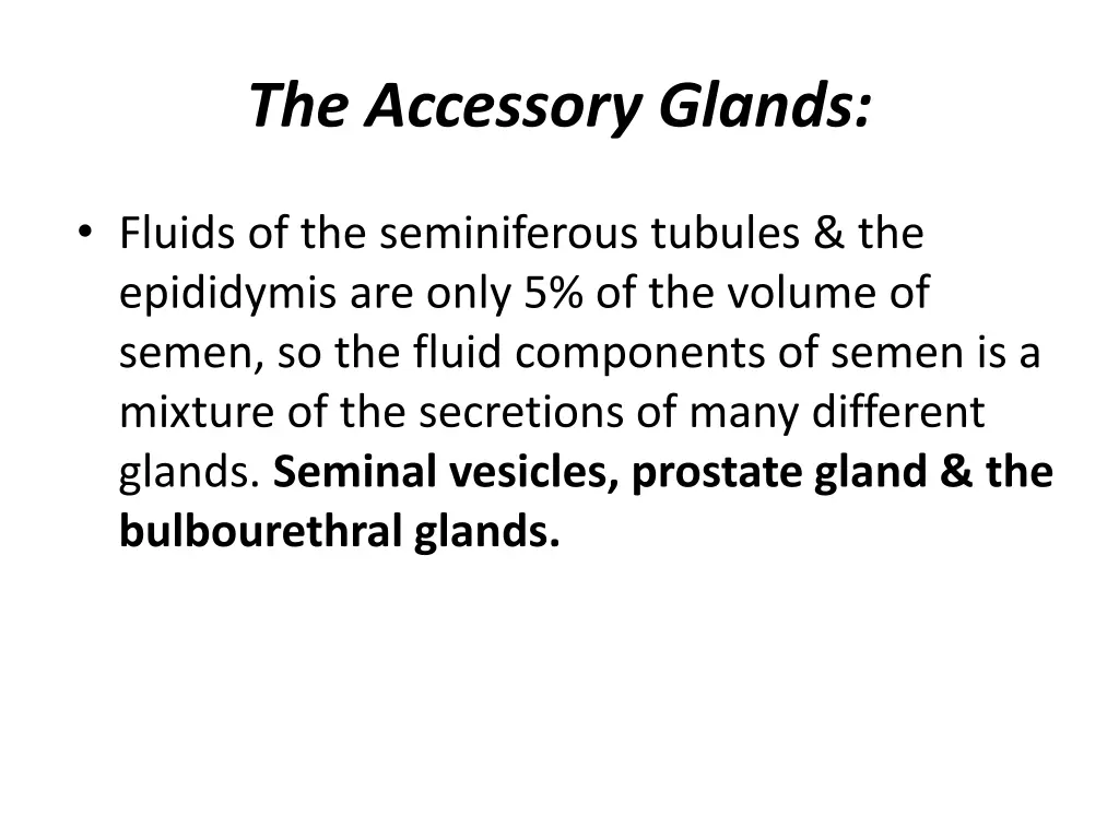 the accessory glands