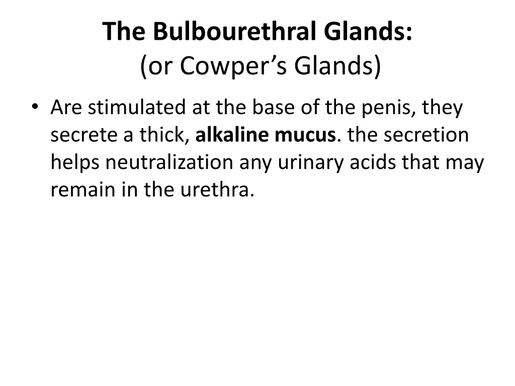 the bulbourethral glands or cowper s glands