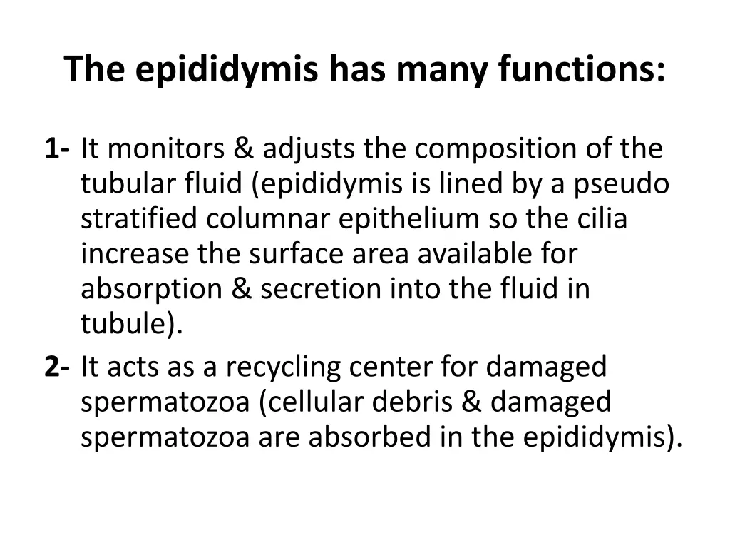 the epididymis has many functions