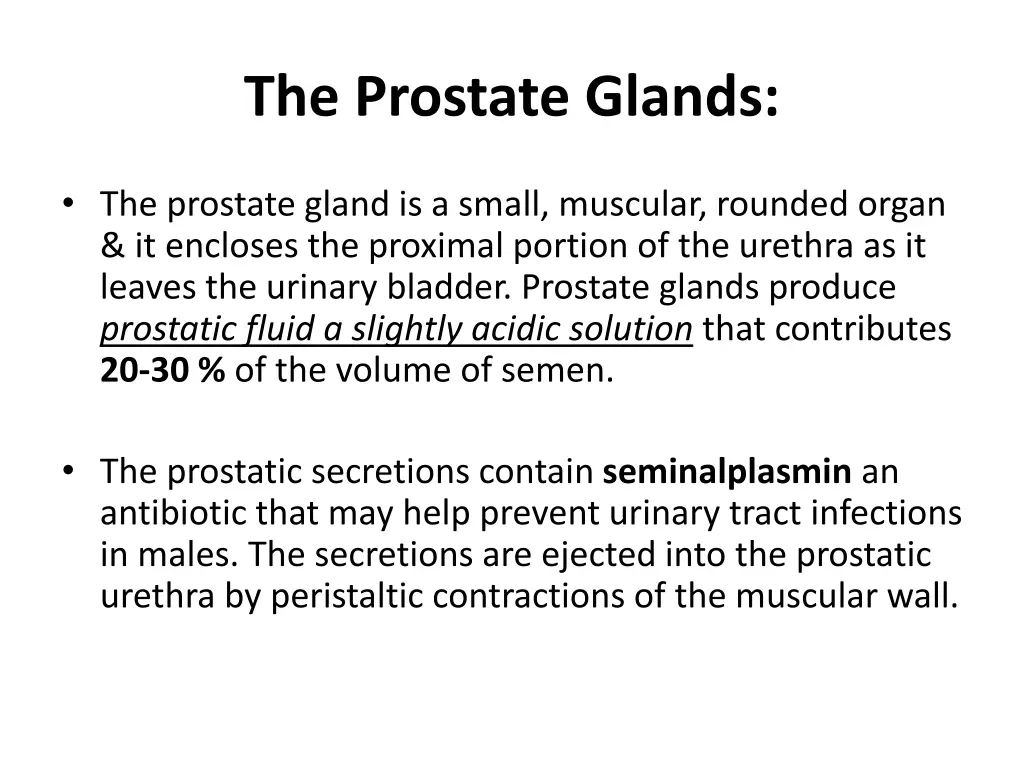 the prostate glands