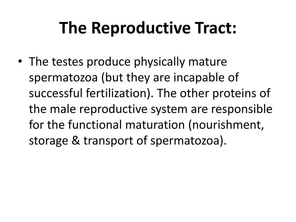 the reproductive tract