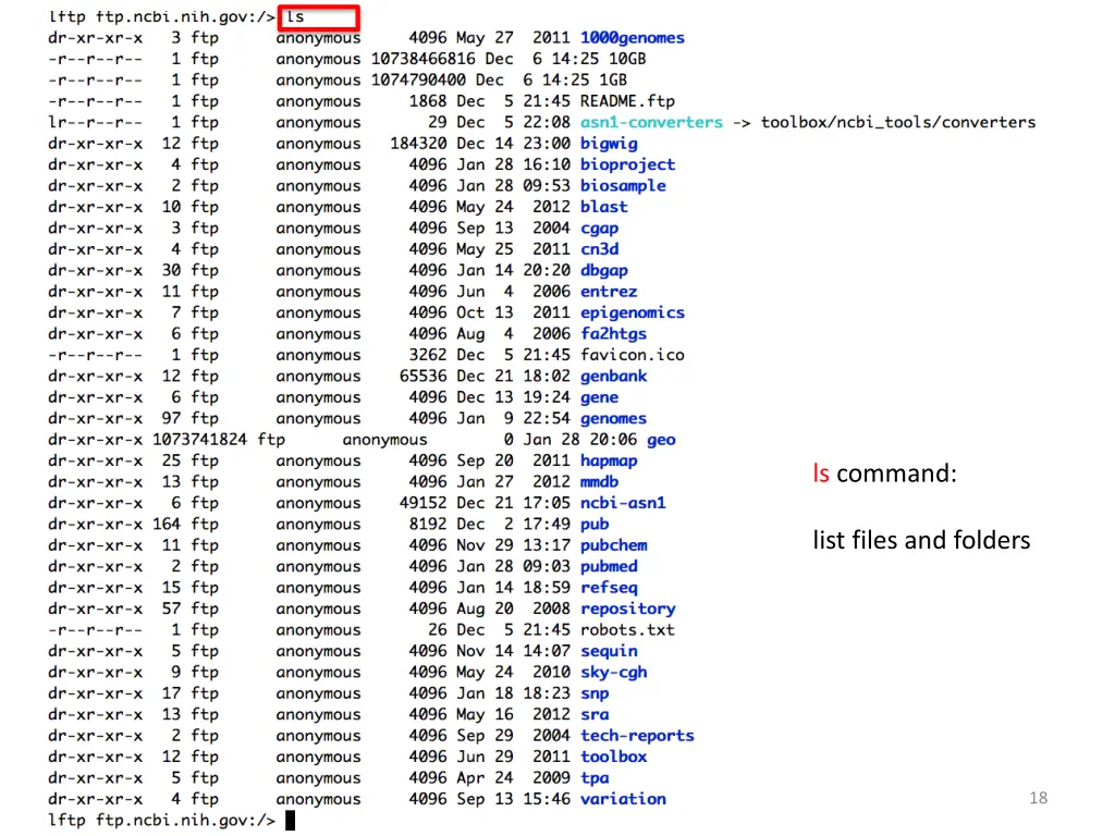 ls command