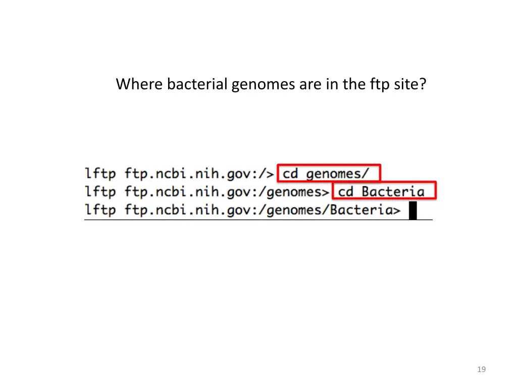 where bacterial genomes are in the ftp site