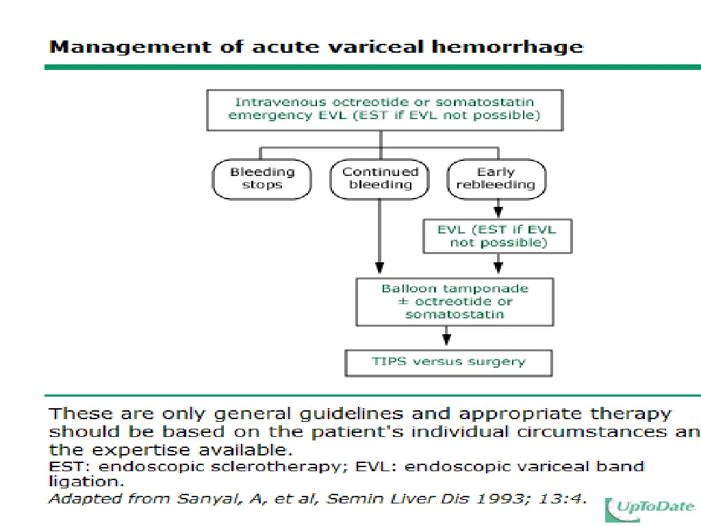 slide11