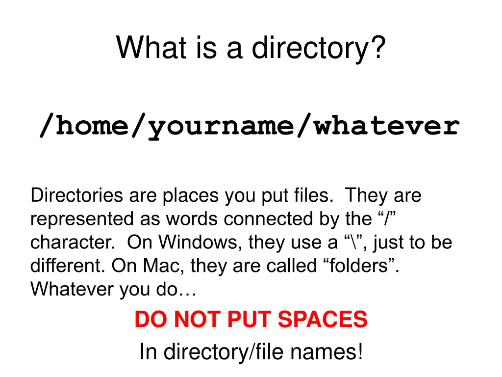 what is a directory