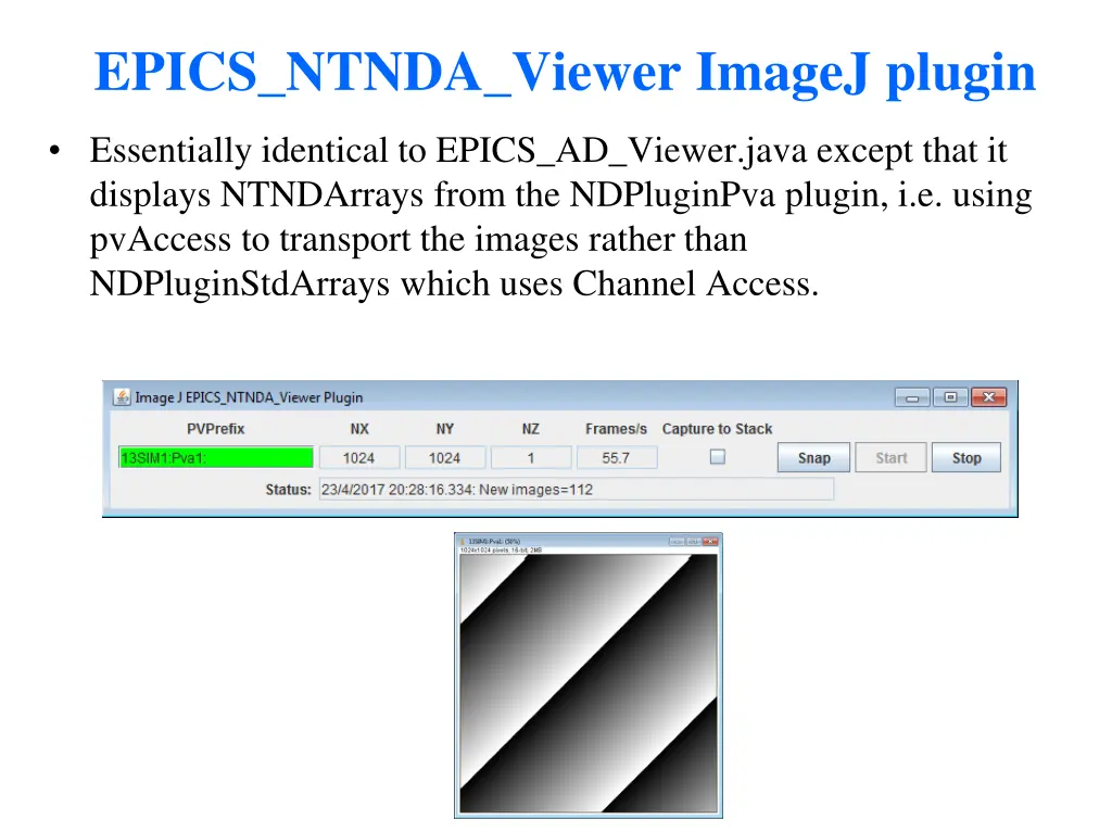 epics ntnda viewer imagej plugin