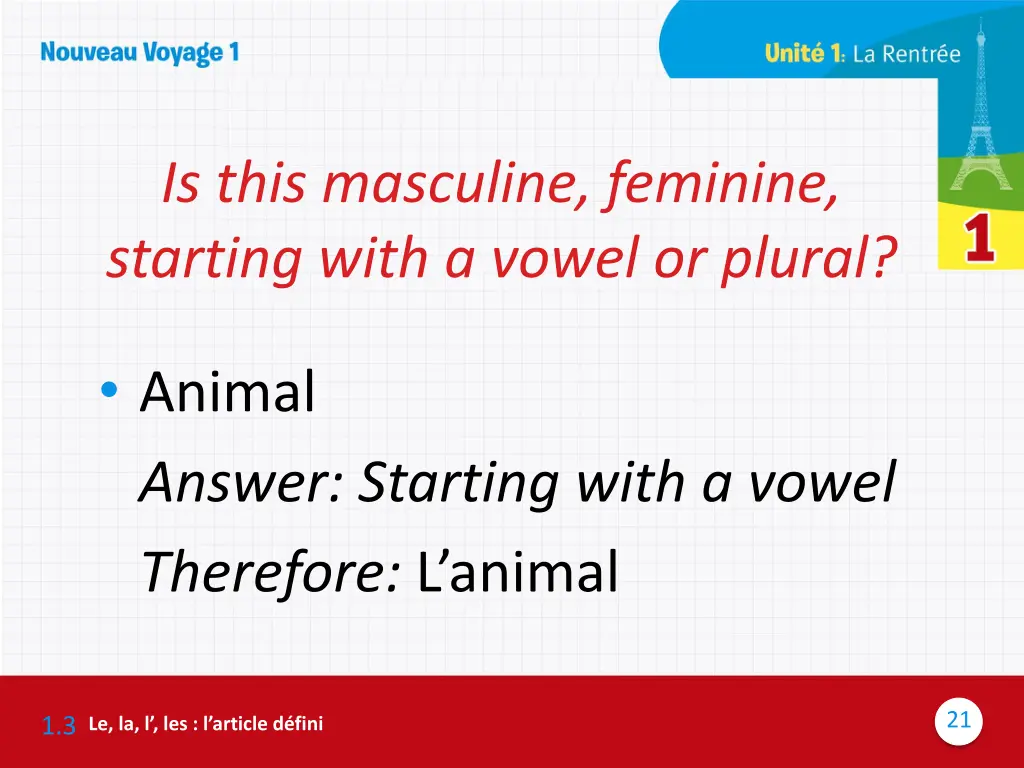 is this masculine feminine starting with a vowel 15