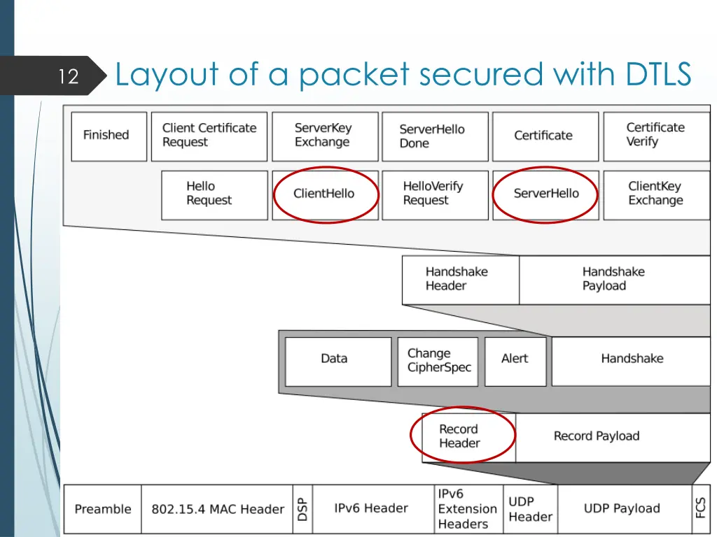 layout of a packet secured with dtls