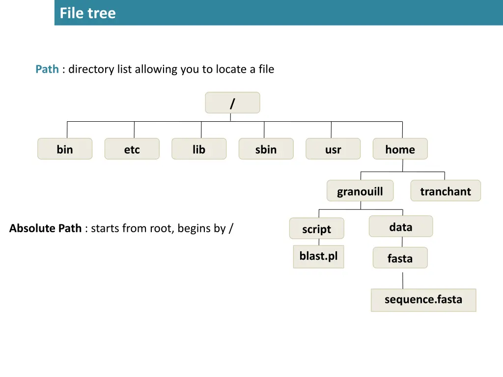 file tree 1