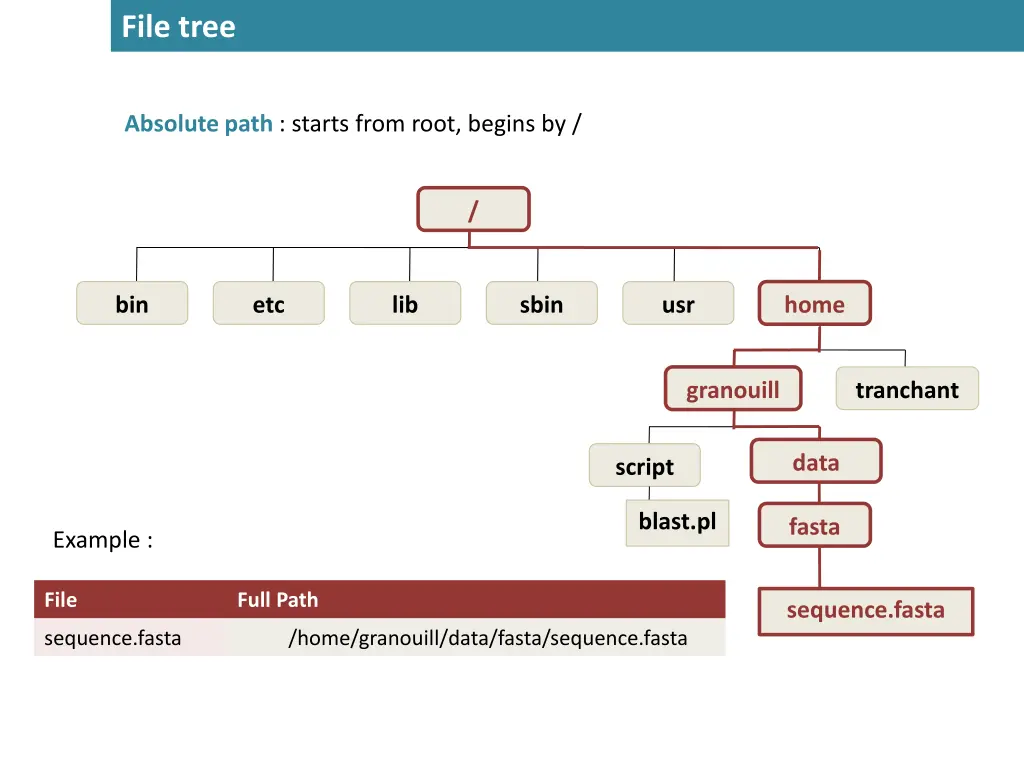 file tree 2