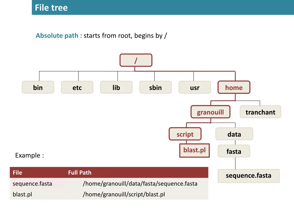 file tree 3